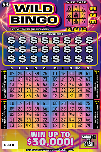 WILD BINGO ticket